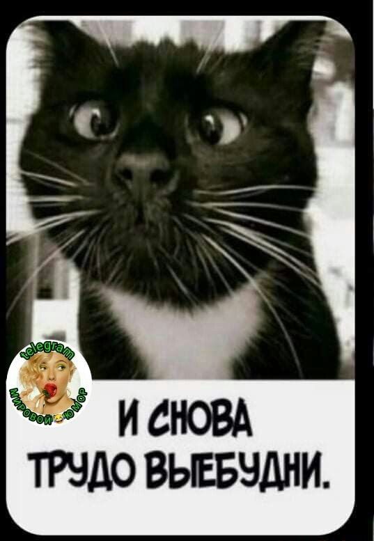 Прикольные и просто красивые картинки 23.05.2023