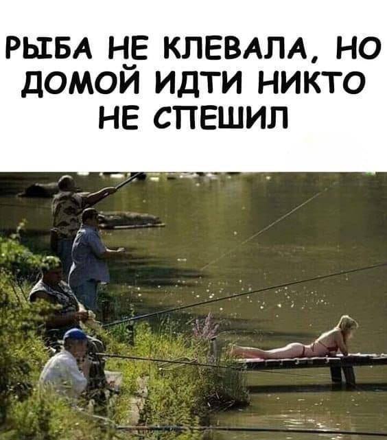 Победная поступь идиотизма по планете – том 15