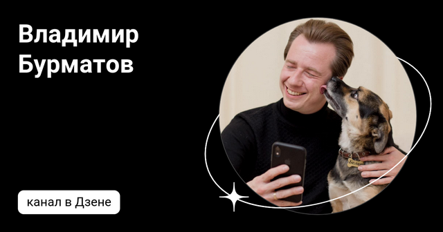 Ежедневная собака