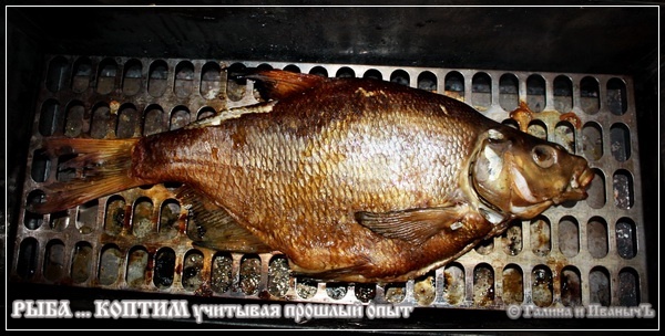 Рыба ... коптим ...