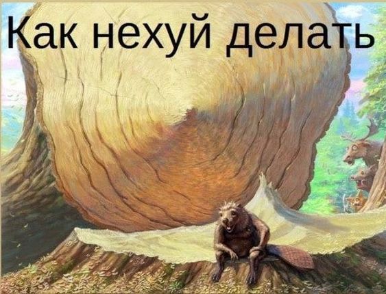 Прикольные и просто красивые картинки 21.06.2024