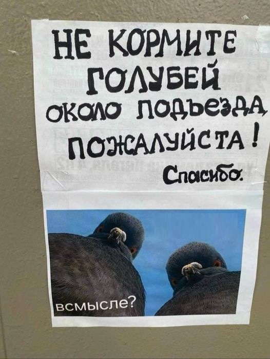 Картинки разные с надписями и без
