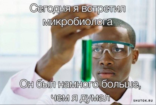 Веселые картинки к четвергу (03.10)