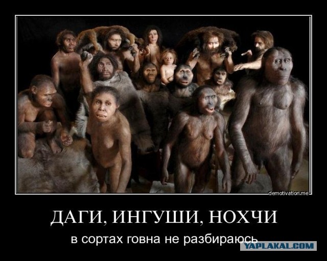 Кавказцы - геи