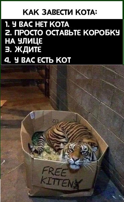 Картинки разные с надписями и без