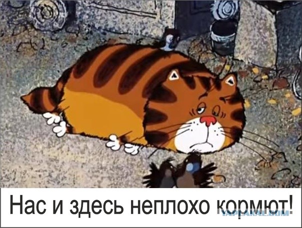 Разрешите представить - жрысь