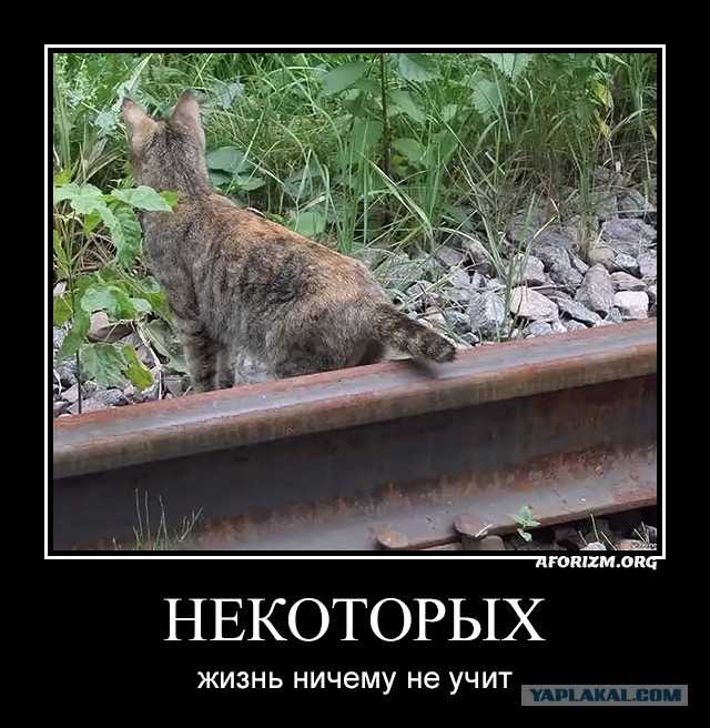 Я пошел, а вы как хотите