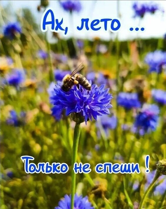 Прикольные и просто красивые картинки