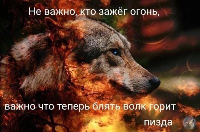 Когда у тебя ICQ 24