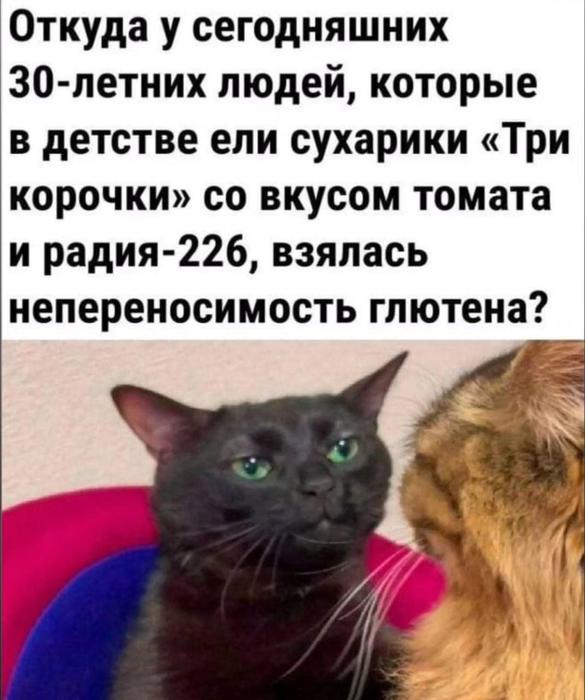 20573018.jpg