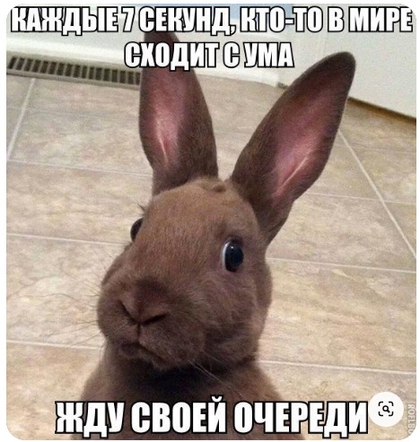 Воскресные картинки