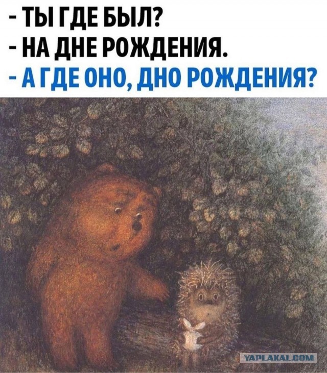 COUB, кубы пятничные 30.01.2026