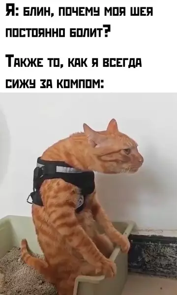 Картиночки, баянчики 13 февраля