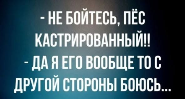 Так себе картинки 24.07.26