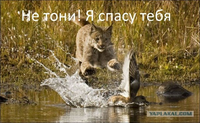 Поддержка и взаимовыручка