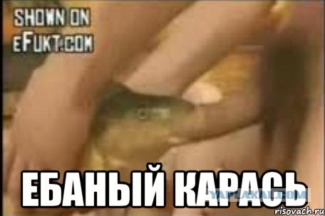 Полицейским "подарок" со встречки прилетел ...