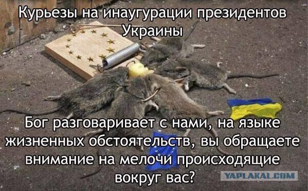 Страха нет!