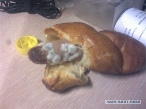 А чем завтракаешь ты?