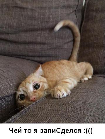 СБУ Украины л**анулось=)