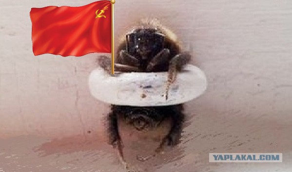 "Я не застрял..Просто сижу, кайфую...Проходи мимо"