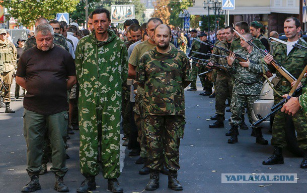 Чистокровная украинская нация и быдло