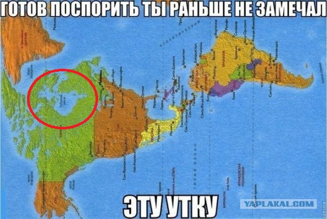 Готов поспорить... ты не замечал эту утку!