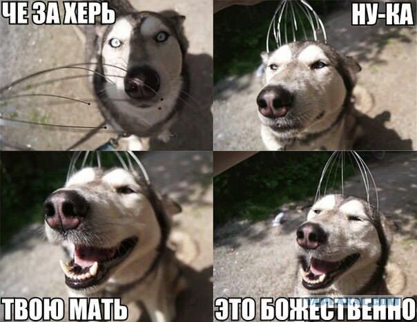 Очередная подборка коментов