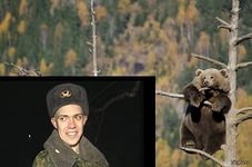Спасение кота