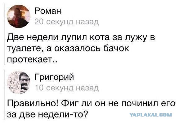 Подборка весёлых картинок