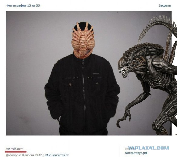 Я и мой друг
