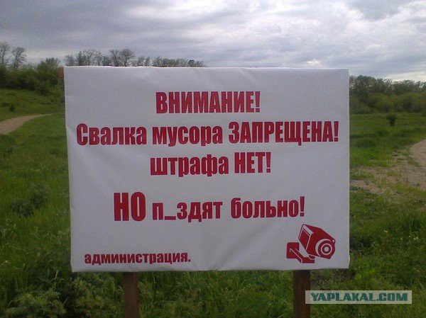 Забавные картинки из Сети