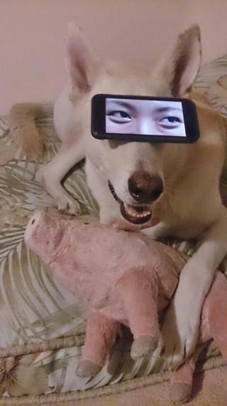 Пятничные картинки