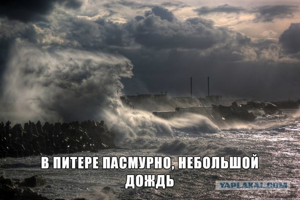 Питерское лето 2015