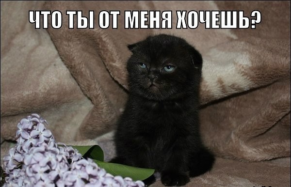 Картинки из инета