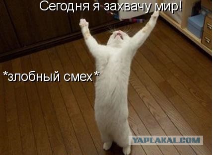 В погоне за ЮКой
