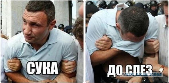 COUB-ы