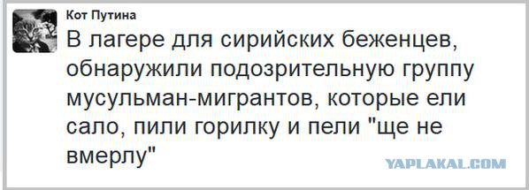 10 политических картинок часть 8