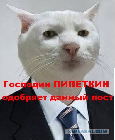 Краткий курс истории России в котиках