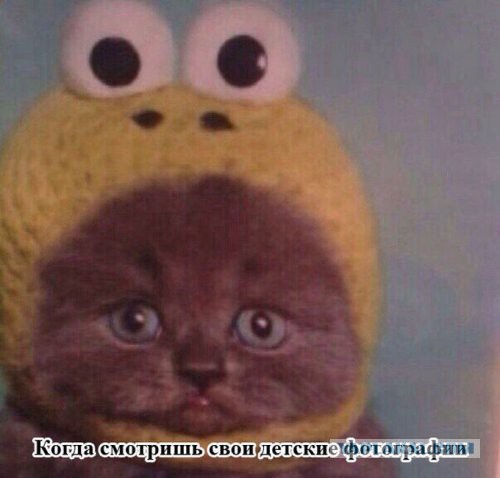 Картинки на пятницу