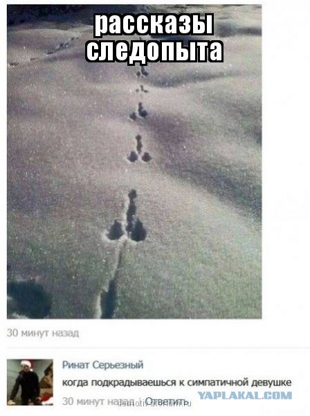 Абсурдный юмор ч.7