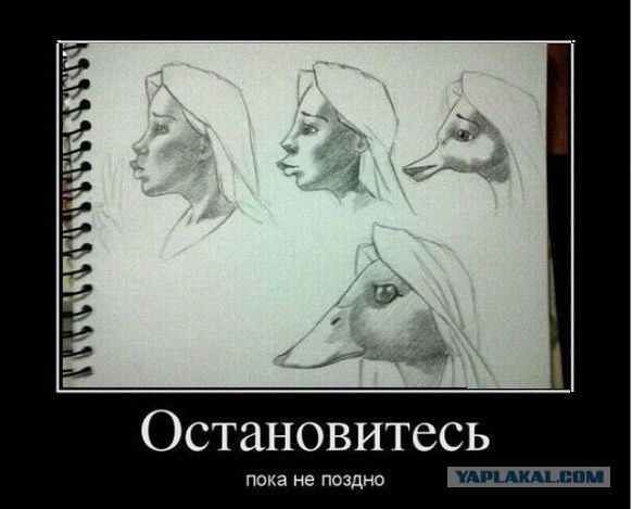 Что чувствуют мужчины, выгуливающие женщин-уток?
