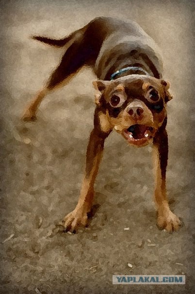 Ультиматум Латвии