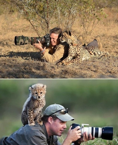 Подборка картинок на среду