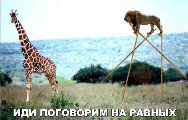 Мохнатые беспредельщики