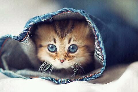 Подборка интересных и веселых картинок