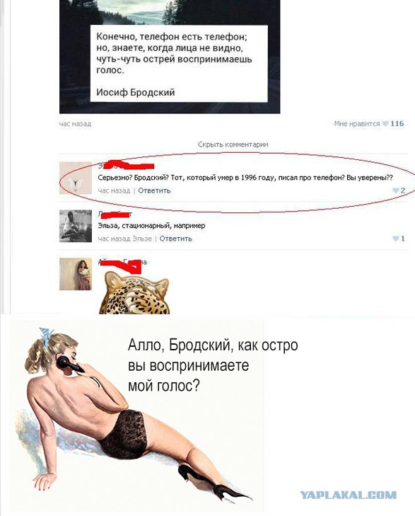 Смешные комментарии из социальных сетей 24.06.2016
