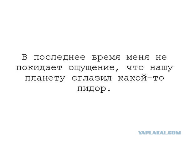 Гастробайтеры..