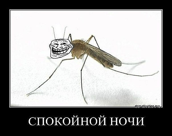 Юмор не для всех