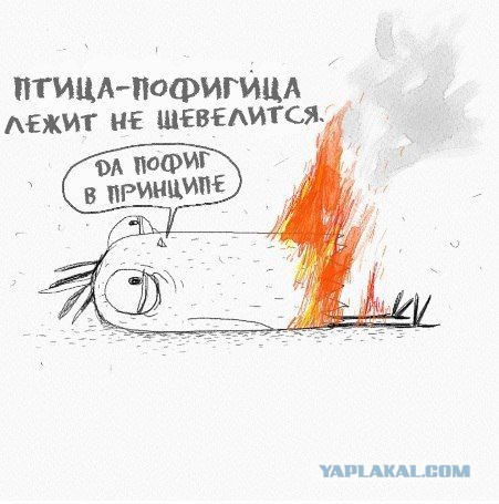 Футбол Чемпионат России 2016-17. Кубок России,РФПЛ,ФНЛ. Часть VIII