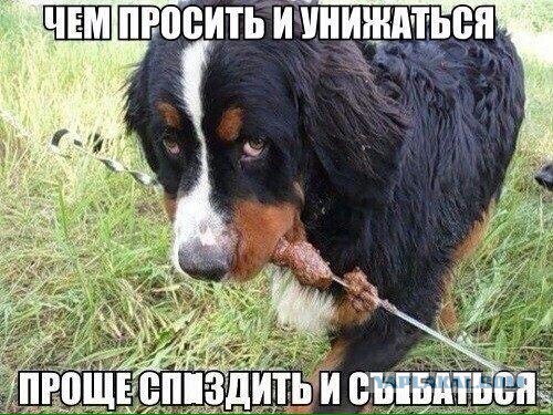Смешные и не очень жипэги..